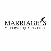 Marriage's Feed(@MarriagesFeed) 's Twitter Profile Photo