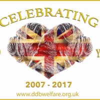 DDB Welfare (@ddbwelfare) 's Twitter Profile