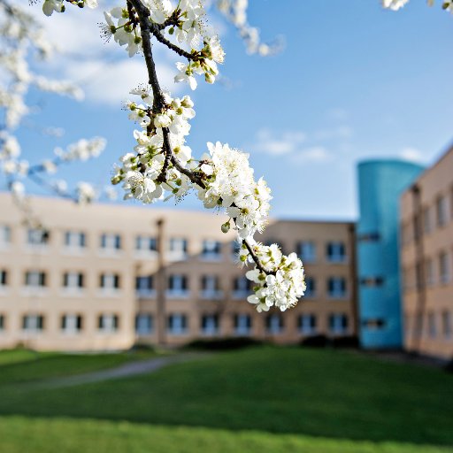 Loughborough University research Centre for Work, Organisation and Society, based within School of Business and Economics