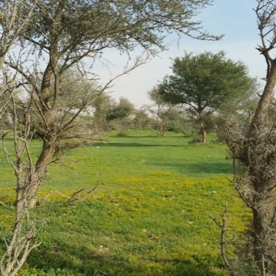 متابع بشغف للسيول والأمطار والطقس والربيع ( ريتويت لأهم أخبارها )