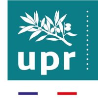 upr64 (@upr64t) 's Twitter Profile