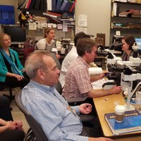 Hopkins Neuropath (@hopkinsneuropth) 's Twitter Profile Photo Hopkins Neuropath (@hopkinsneuropth) 's Twitter Profile Photo