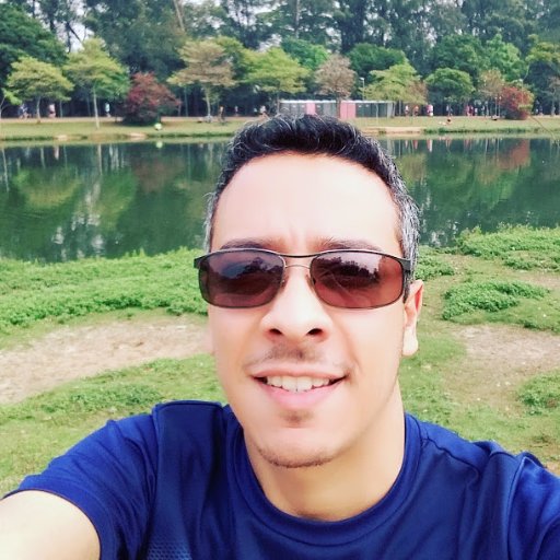 AngeloSagnori's profile picture. IT Consultant - Brazilian person.