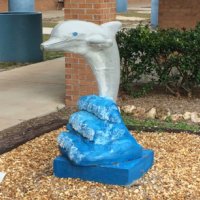 HarbourView (@hvedolphins) 's Twitter Profile