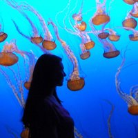 Dr. Camila Cáceres (@drccaceres) 's Twitter Profile Photo Dr. Camila Cáceres (@drccaceres) 's Twitter Profile Photo