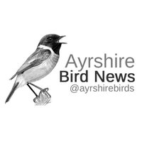 Ayrshire Birds (@ayrshirebirds) 's Twitter Profile