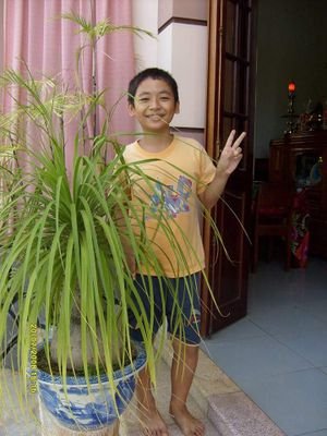 KhoaTran184's profile picture. Picture when i was young !!!