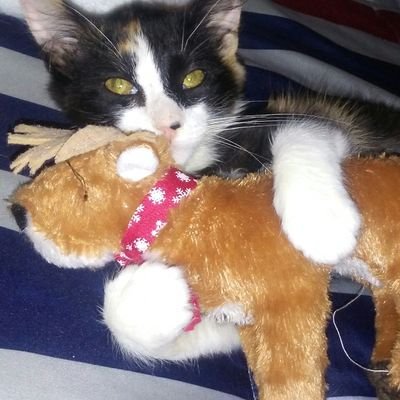 JohnnySavage69's profile picture. 