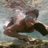 Profile Picture of Rafael Sanchez De L (@raf_e) on Twitter
