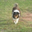 Randy Swain - @InsSolutions - Twitter