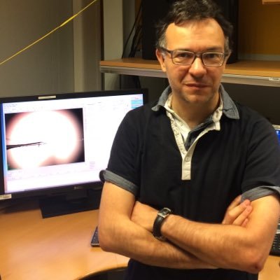 cianci_michele's profile picture. Associate Professor in Biochemistry and Enzymology @Univpm, Structural Biologist, ECA-Sig06 Chairman, opinions are mine