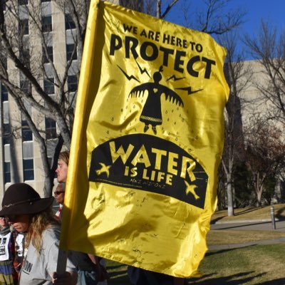 nanazevon's profile picture. #FreePalestine #EndGazaGenocide #BlackLivesMatter #IndigenousLivesMatter #NoBordersNoWalls #Decolonize #GeneralStrike