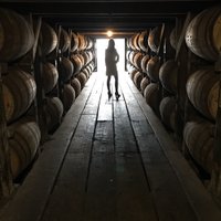 KY Bourbon Girl (@kybourbongirl) Twitter profile photo
