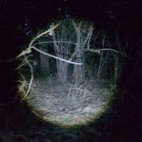 P.A.S.T UK (@past_uk) 's Twitter Profile