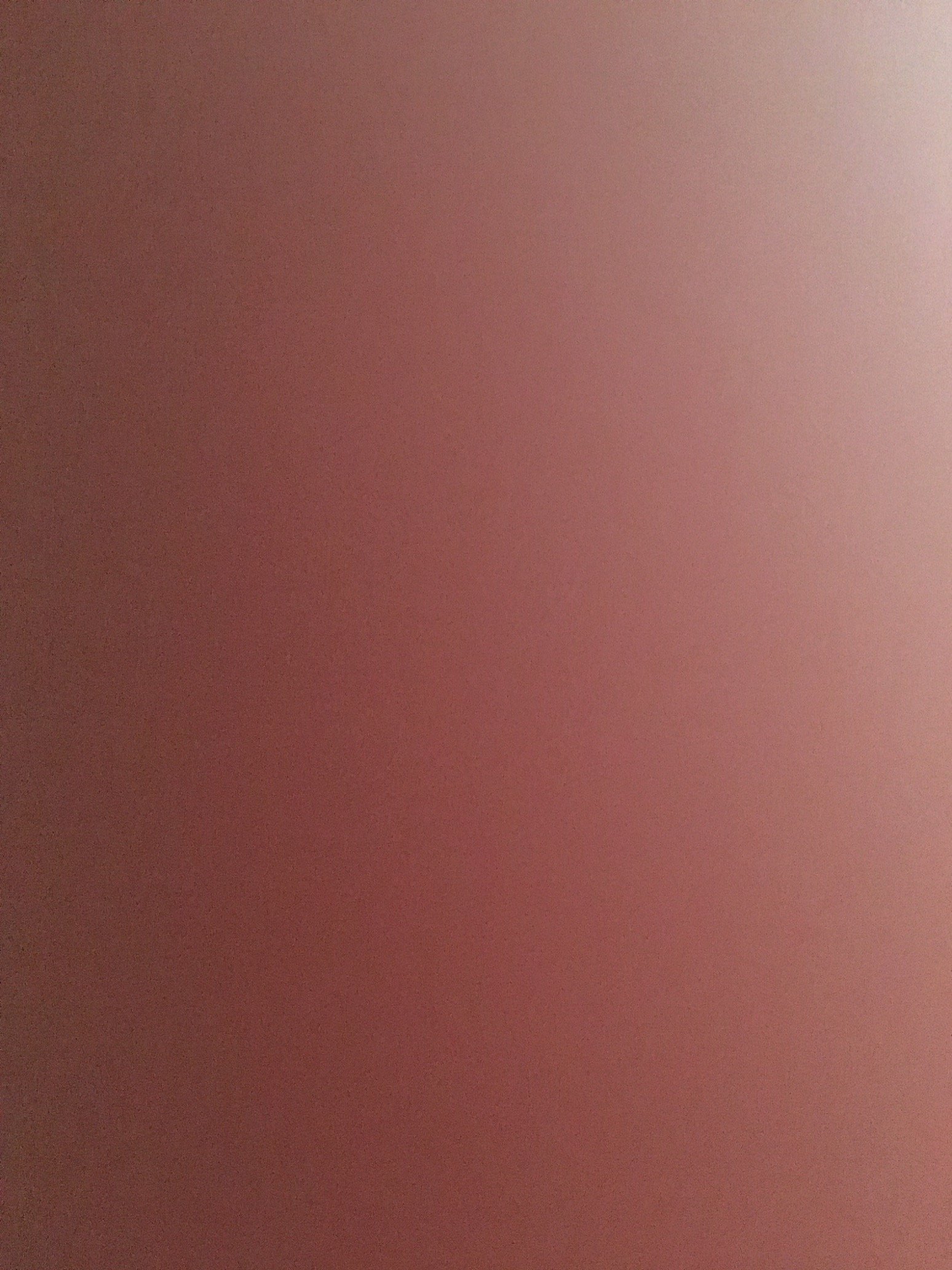 MelineDirielyan's profile picture. 