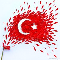 Only In Turkey (@only_in_turkey) 's Twitter Profile