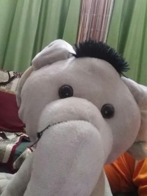 pal_subodh's profile picture. 