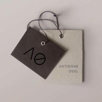 Antionne Odel (@antionneodel) 's Twitter Profile