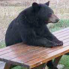 hekatonkir's profile picture. Software Engineer. Vegalta Sendai supporter.
Lure fishing(Trout and SeaBass). Love Car(AE86, AE92, SW20, GXPA16).
The correct spelling is 'Hecatoncheir'