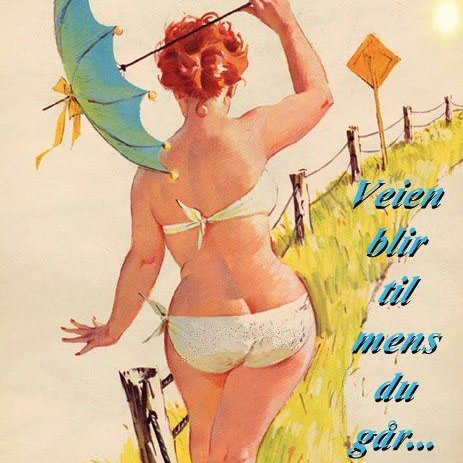 trine1711's profile picture. 