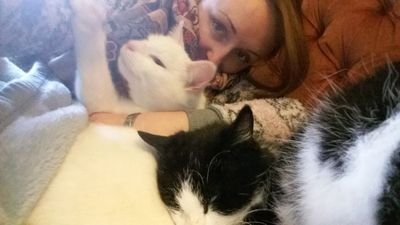 dramatherasauru's profile picture. dramatherasaurus