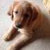 Barbara Dougherty (@babs272727) Twitter profile photo Barbara Dougherty (@babs272727) Twitter profile photo