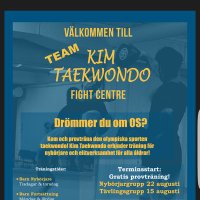 Team Kim Tkd(@Teamkimtkd) 's Twitter Profile Photo