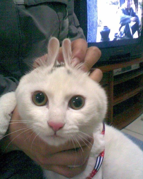 woojay33's profile picture. 