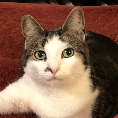 bnbpewsville's profile picture. 