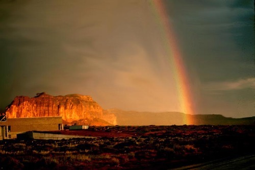 GardeningTip's profile picture. Avid gardener, I use the Mittleider method Create a Squidoo lens and Help the Food for Everyone Foundation