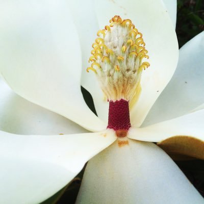 jacqui_kaye's profile picture. agnostic introvert seeking to avert dystopia through revolutionary mothering and social justice lawyering