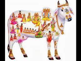 siripriya2013's profile picture. 