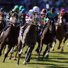 PRONOSTICADOR CON LA MEJOR ASESORÍA HÍPICA PARA EL HIPÓDROMO DE  LA RINCONADA