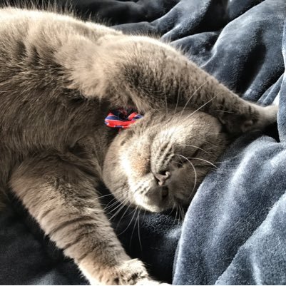 a28chayan's profile picture. 