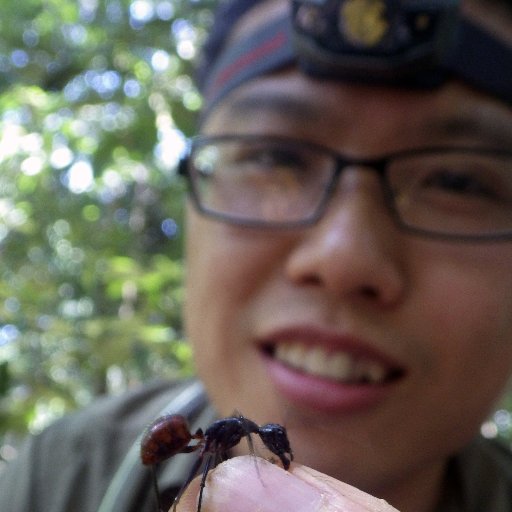 Postdoc fellow @ UMASS Boston MCZ associate @MCZHarvard Ants, biodiversity and conservation, community ecology, comparative phylogeograohy, RADseq.