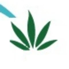 Perry_Phernalia's profile picture. Smoking Paraphernalia Shop.  Learn hydroponics and get the supplies you need to support your... um... garden.  Enjoy our selection of pipes, cases and more!