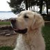 Peter Skrypka (@peter_skrypka) Twitter profile photo Peter Skrypka (@peter_skrypka) Twitter profile photo