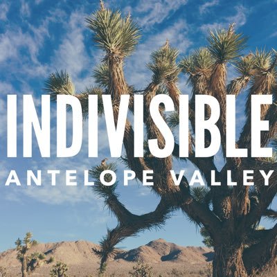 IndivisibleAV Profile Picture