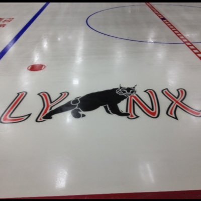 Madison Metro Lynx girls hockey student section!!