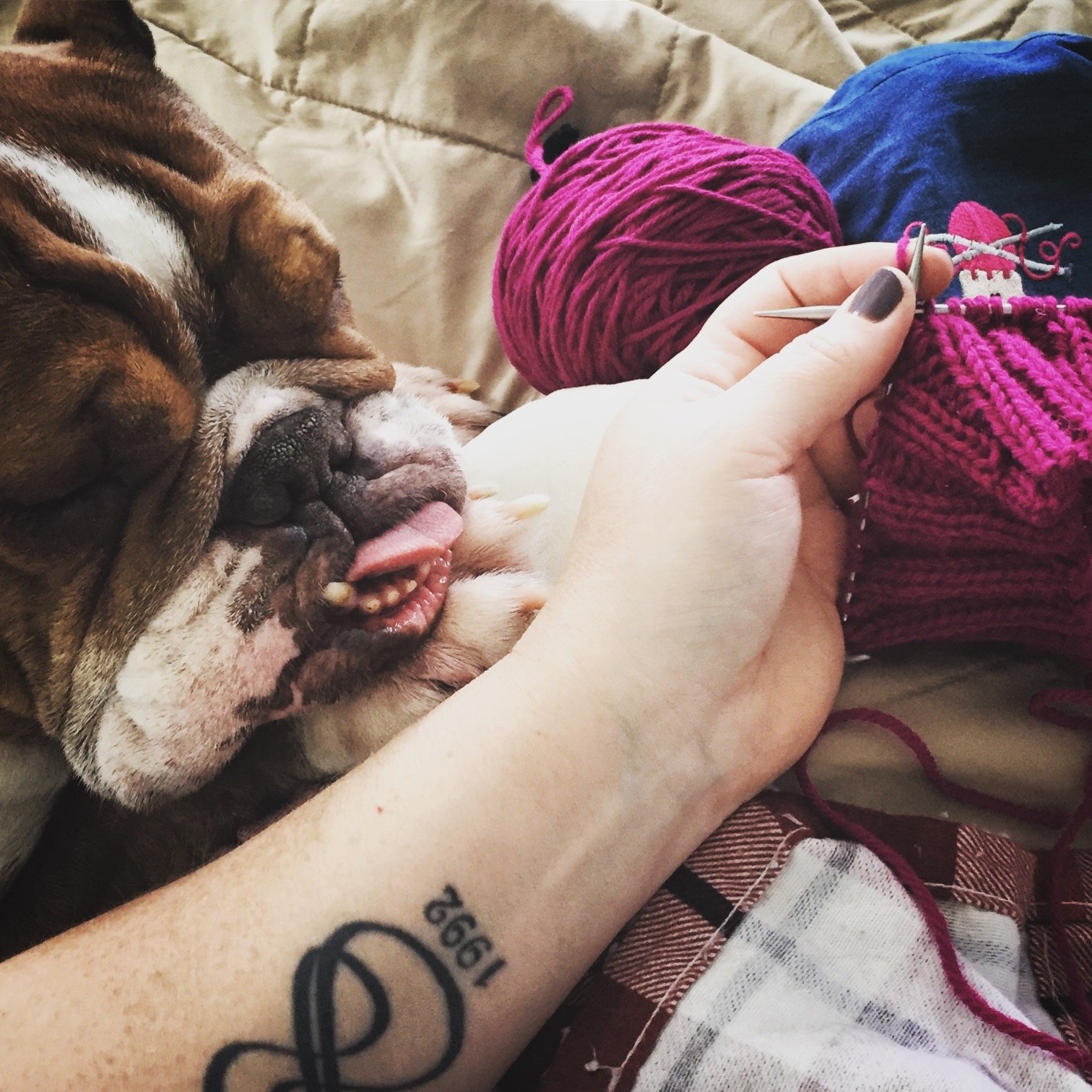 Knitting all the things.