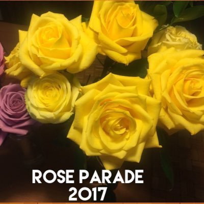 Smylz4rel's profile picture. 