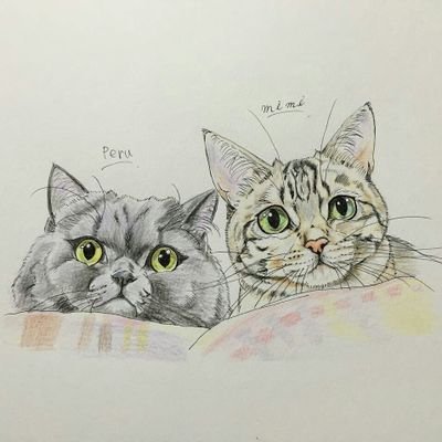 ねこばすさんのプロフィール画像