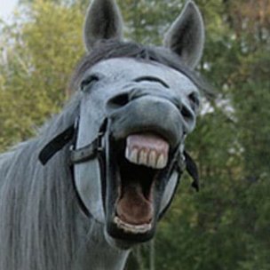 fabulousfab59's profile picture. 