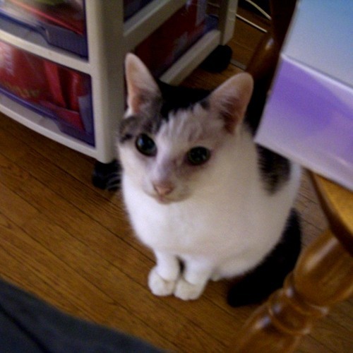 VenusArm's profile picture. コロナ期は地元の飲食店を応援してたのですが、そういう状況じゃなくなってジモティでもなくなりました。
刑事罰の重罰化は弊害も多く、慎重にやらねばなりませんし、
そもそも報道されてる犯罪や供述もかなりの捏造が入っています。
（2024/02/20）