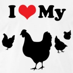 We are a small chicken farm and homestead, ran by mother and daughter. We have over 100 chickens, ducks, geese, dogs, and cats.