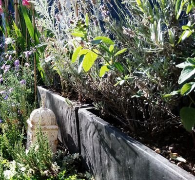 Lover of sport, Christmas and pensionable pursuits (gardening). Occasional bemoaner of public transport. Views my own.