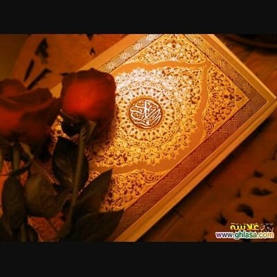المملكة العربية السعودية الدين الرياضة كوميديا عربية كرة القدم السعودية
