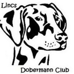 Registered Charity 1172592 This club and rescue bring together like minded people of the Dobermann world. We promote the welfare and love of the dobie.