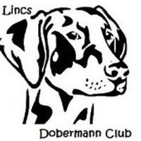 Lincs Dobermann Rescue 1172592(@LincsDobermann) 's Twitter Profile Photo