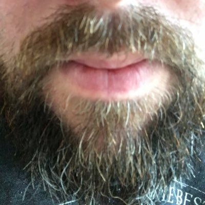 Danielpbrown101's profile picture. Better than a kick in the balls!